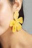 #EAR00025