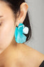 #EAR00029