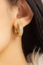 #Ear00041