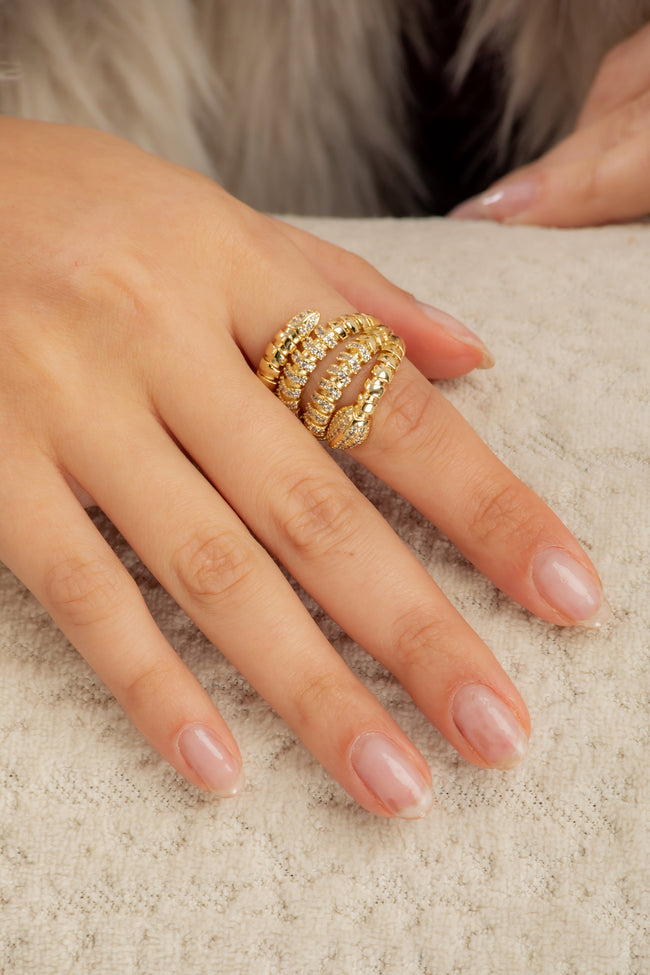 #Ring00013 Main Image