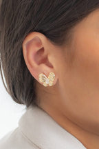#Ear00056