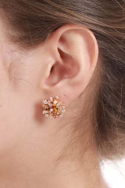 #Ear00067 Main Image