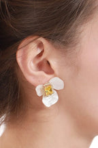 #Ear00068