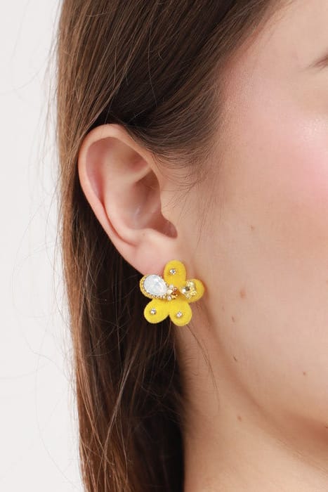 #Ear00072
