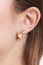 #Ear00074