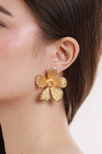 #Ear00084