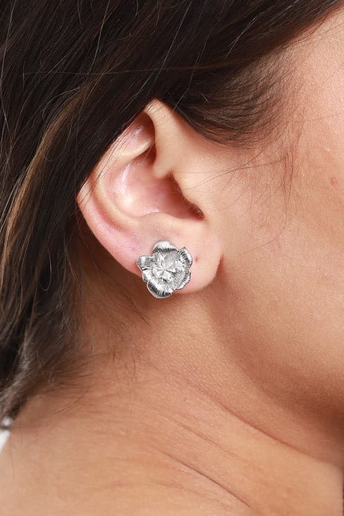 #Ear00086