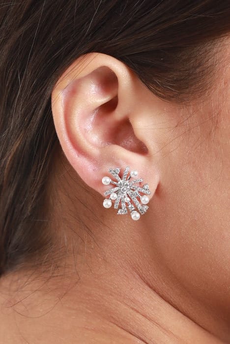 #Ear00088