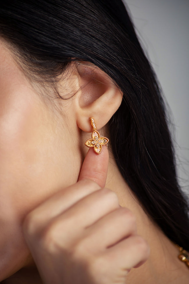 #EAR00002 Main Image