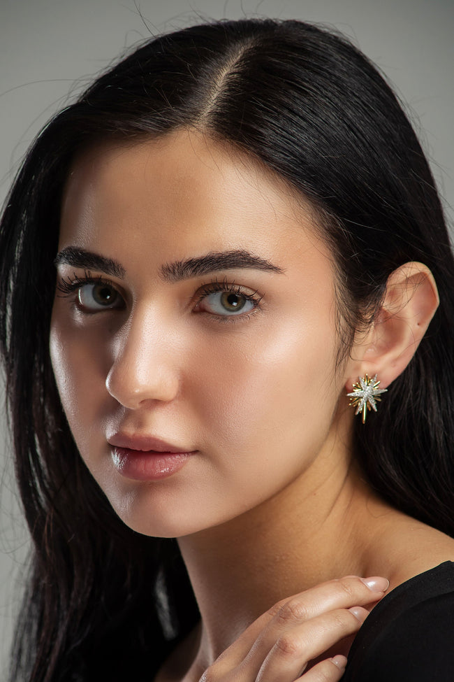 #EAR00013 Hover Image