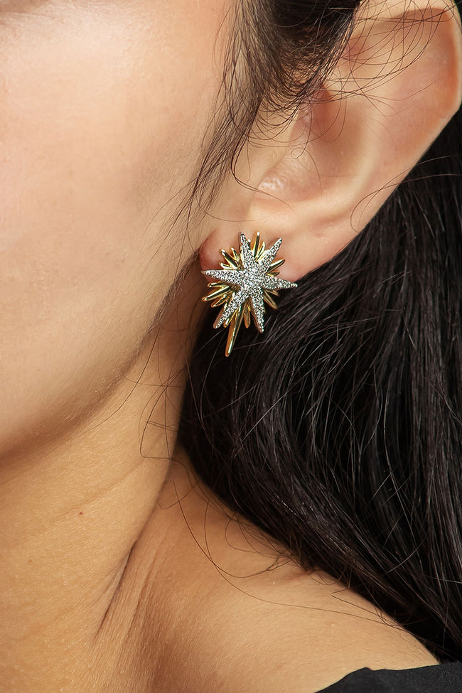 #EAR00013 Main Image